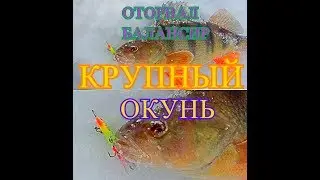 Large bass on the balancer