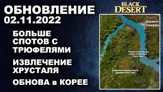 🔔 ЕЩЕ СПОТЫ С ТРЮФЕЛЯМИ ♦ ИЗВЛЕЧЕНИЕ ХРУСТАЛЯ ♦ БДО Обновление 02.11 (BDO-Black Desert)