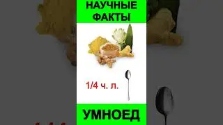 Сколько нужно употреблять куркумы? Доктор Майкл Грегер