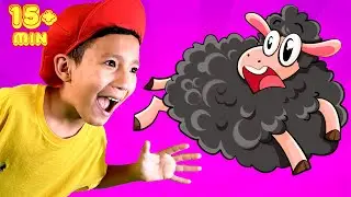 Baa Baa Black Sheep Song🐑 + More Nursery Rhymes and Kids Songs