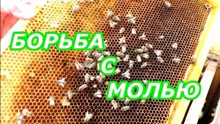 ГДЕ ХРАНИТЬ РАМКИ? Агрессивные пчелы. ИЗОЛЯЦИЯ МАТКИ. 