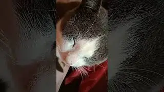 Look at this 