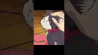 Купил для неё ошейник🐱 || Домашний питомец, иногда сидящий на моей голове #аниме #anime