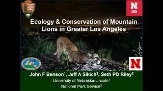 Ecology & Conservation of Mountain Lions in Greater Los Angeles - A Webinar with Dr. John Benson