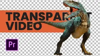 Export TRANSPARENT video in Premiere Pro