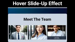 Tailwind CSS Hover Effects: Slide-Up best modern website design examples | Hover Slide-Up