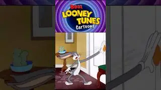Bugs Bunny vs Elmer Fudd