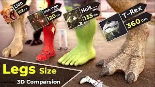 Legs Size Comparison in 3D | Biggest Leg | size Comparison