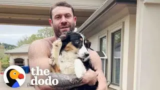 Terrified Aussie Puppy Melts Into Her New Dads Arms | The Dodo