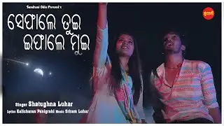 Sefale Tui Efale Mui | Gele Gele | Shatrughna Luhar | New Sambalpuri Song 2024