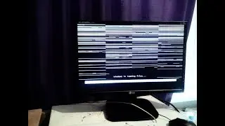 Artifacts on the monitor screen. What's it? How to treat?