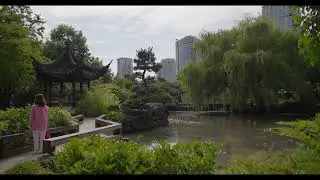 Canon C70 & DZOFilm Vespid 25mm T2.1 in EF | Sample 1