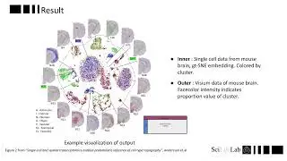 09 Celltype deconvolution overview