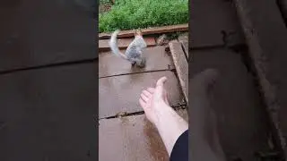 Беня Слепышь замёрз