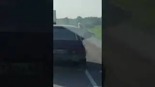 Важный пассажир!!!
