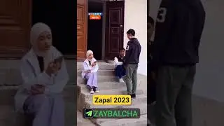 zapal 2023, запал 2023,😁😁🔥