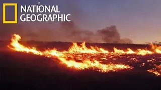 Взгляд изнутри Операция лесной пожар inside operation wildfire National Geographic HD