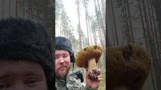 ОГРОМНЫЙ БЕЛЫЙ ГРИБ.
