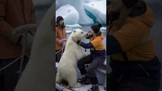 Polar Bear's Heartwarming Rescue! 