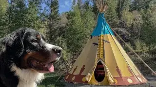 Family Camping In A Luxury Teepee with Our Dog