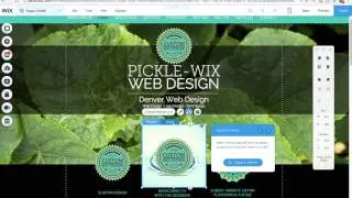 Wix Rollover Hoverbox Tips from a Wix Website Designer