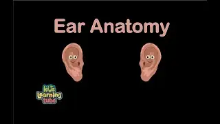 The Ear Anatomy Song