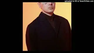 face - прада