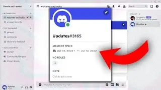 Information About Members in Discord profiles
