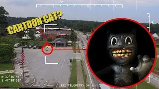 ВЫ НЕ ПОВЕРИТЕ МОЙ ДРОН СНЯЛ РЕАЛЬНОГО CARTOON CAT  он существует