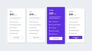 Professional Pricing Plans Section Design using HTML and CSS