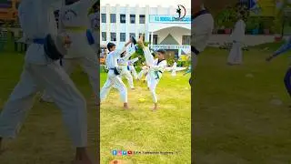 Taekwondo knockout Kick #tkdlife #youtubeshorts #martialarts #lifestyle #motivation #world