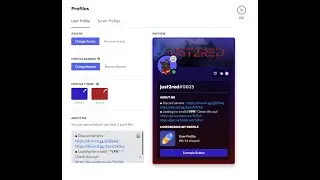 Discord Profile Themes