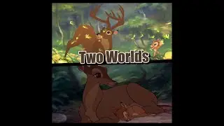 Bambi | Two Worlds