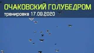 ОГ сезон 2020. Тренировка 17.09.2020