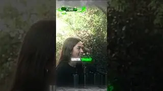 Внезапная концовка. Умная девчонка 