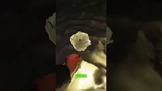 Роза из снега 😁🌹