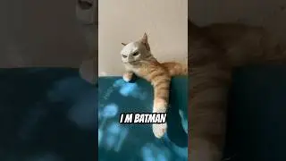 Batman Cat Mask #3dprinting #3dprinted #batman #mask