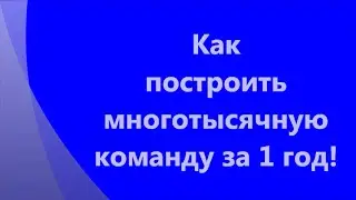 Как  построить многотысячную команду за 1 год