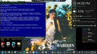 Baby Shark has BSOD VM (Windows XP)