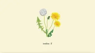 gnash - imagine if (lyric video)