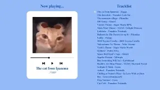 A Silly Playlist For Silly People