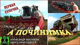 Началось в колхозе утро 5/33. Первая семечка.