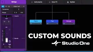 Multiple Virtual Instruments - One Track!