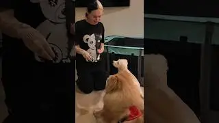 Talia taught Mushu a new trick.. 🐶