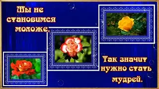 Мы не становимся моложе.. Очень душевный стих с глубоким смыслом. В сопровождении прекрасной музыки!