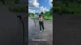 Газон