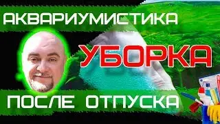 Аквариумистика. Уборка после отпуска.