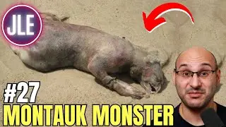 They Found a 'MONSTER' Washed up on the Beach