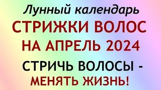 Лунный календарь СТРИЖКИ волос на АПРЕЛЬ 2024. Благоприятные и неблагоприятные дни.