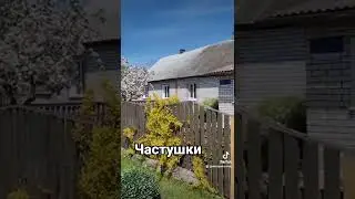 Частушки